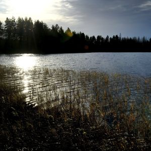 Höstligt landskap vid sjön Huhkojärvi i Keuru, Finland. 