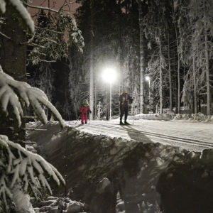En mamma och hennes dotter skidar på skidspåret. Det är mörkt, lampan lyser upp spåret. Mycket snö på marken och på trädens grenar.
