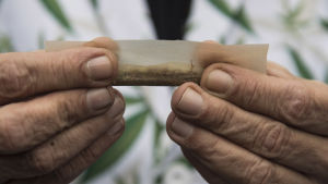 Finländska ungdomar använder mindre cannabis än ungdomar i de flesta länder i Europa. Det har ändå blivit vanligare att prova på cannabis och andra droger de senaste åren. Marijuana cigarett.