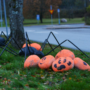 Halloweenpumpor och två spindlar dekorerar en gräsplätt invid en korsning.