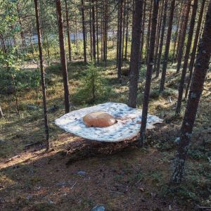 Paistetun kananmunan mallinen taideteos metsässä
