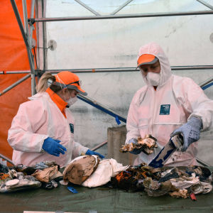 Bild av männsikor i skyddsytrustning som sorterar sopor. 