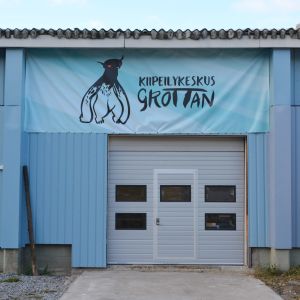 Kiipeilykeskus Grottan i Borgå
