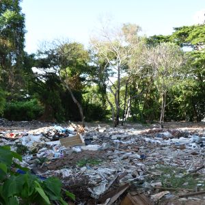 Osorterat avfall dumpas på olagliga soptippar också i skogsdungar i städerna. Här bildar avfallet ett mer än fem meter djupt lager.