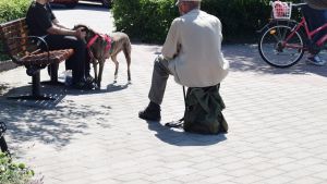 I parken i Karis centrum finns både alkholister och andra missbrukare. Två män och en hund i en park