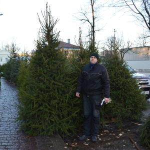 Juha-Pekka Mikkola satsar på ymniga granar Juha-Pekka Mikkola säljer Kalle Anka-granar.