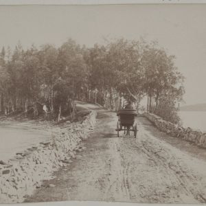Maantie Punkaharjulla 1800-1900-luvun vaihteessa. Hevoskärryt ajavat Punkaharjulla 1800-1900-luvun vaihteessa.