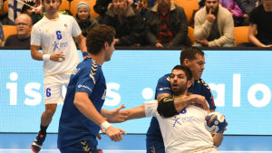 VM-kvalmatchen mellan Finland och Cypern var Lina Koskinen-Holmqvists första tävlingsmatch med herrarnas handbollslandslag. Finlands herrlandslag i handboll mot Cypern.