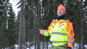Ove Simosas. En man i gul rock står i en skog. Han hållerupp ena handen i luften, som om han visar på något medan han talar.