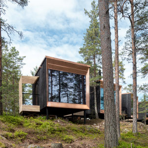 En rad av små svarta lådformade byggnader med stora fönster mot skogen.