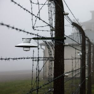 Ett taggtrådsstängsel runt det före detta nazistiska koncentrationslägret Buchenwald. 