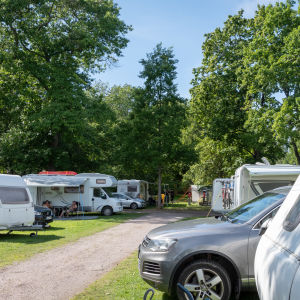 campingplats 