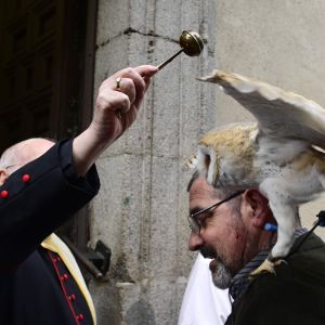 En uggla välsignas på minnesdagen för den helige Antonius (skyddshelgon för husdjur)