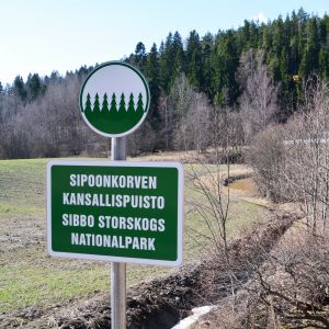 Sibbo storskog väntar rekordmånga besökare i påskhelgen och så länge nylänningarna inte får resa utanför landskapsgränsen. Skylt på Sibbo storskogs nationalpark