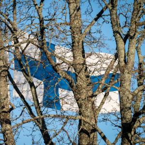 Suomen lippu puiden oksien takana.