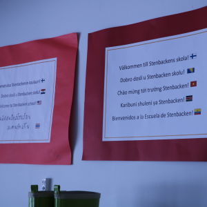 Mångspråkigt i Närpes. Skyltar på nio språk med texten "välkommen till Stenbackens skola".