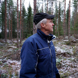 Man i blå jacka och keps står i en tallskog.