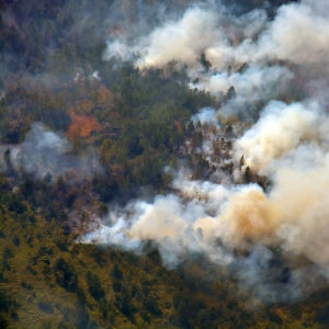 Suuri metsäpalo ilmakuvassa.