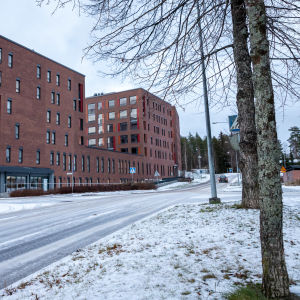 Tulipalossa vaurioitunut senioritalo Palokan Ilona uudelleen kunnostettuna. Etualalla Jyväskylän vuokra-asuntojen omistama Palokan Lukupiha, joka myös sai vaurioita palossa.