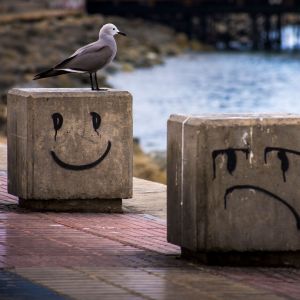 Merenrannassa on kaksi betonikuutiota, joista toisen kylkeen on maalattu iloinen ja toiseen surullinen naama. Iloisen kuution päällä seisoo merelle katsova lokki.