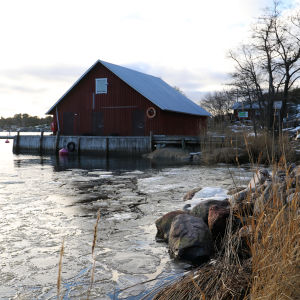 Ett rött båthus i en isig vik. 