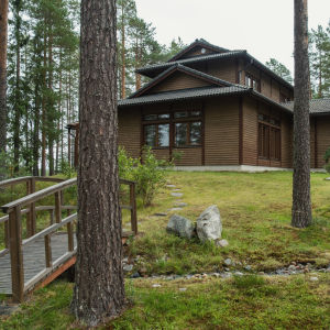 Japanilaistyylinen talo, mäntyjä