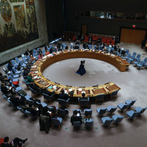 FN:s säkerhetsråd möttes i New York.