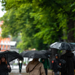 Ihmiset kävelevät sateenvarjojen kanssa kadulla vesisateessa.