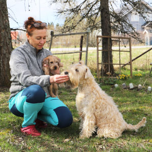 A woman holding a puppy and feeding an older dog a treat at a garden.