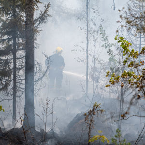 Brandman i ett moln av rök släcker skogsbrand. 