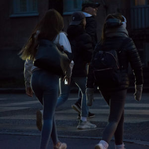Man kan inte lita på gröna ljuset eftersom någon bil kan svänga in på övergångsstället trots grönt ljus Fotgängare utan reflex