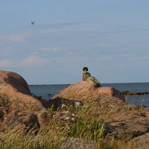 ett barn tittar på måsarna från en klippa vid havet.