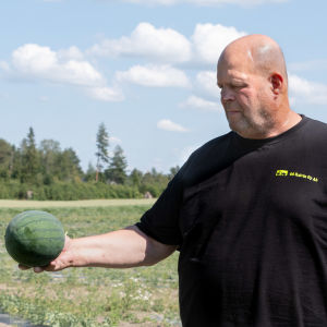 En man håller i en vattenmelon, vädret är soligt och åkrar syns i bakgrunden.