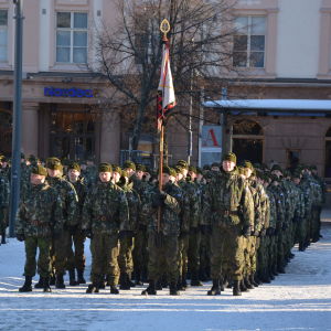 Militärer uppställda på Vasa torg.