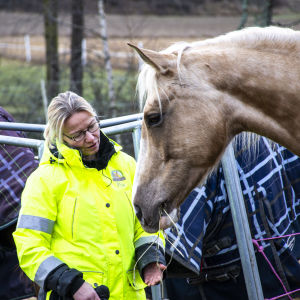 Pia Kulla står i hästhagen och talar med en ljusbrun häst. 