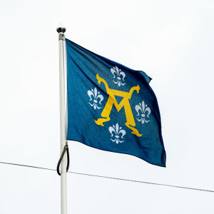 En Åbo stads flagga.