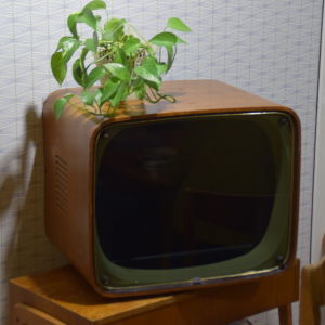 Tv-apparat från 1950-talet. Under 1950-talet blev tv:n en allt vanligare syn i de finländska vardagsrummen. TV-apparat från 1950-talet.