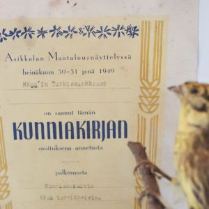Kunniakirja, jossa teksti "Asikkalan maatalousnäyttelyssä heinäkuun 30-31 p:nä 1949 Hägg'in Turkismuokkaamo on saanut tämän kunniakirjan osoituksena annetusta palkinnosta kunniamaininta alan tarvikkeista."
