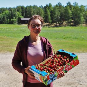 Bärodlare Tanja Vennelä med en låda jordgubbar i händerna.
