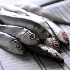 Photo shows herring lying on a newspaper.