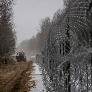 Staket byggs vid gränsne mellan Polen och Belarus