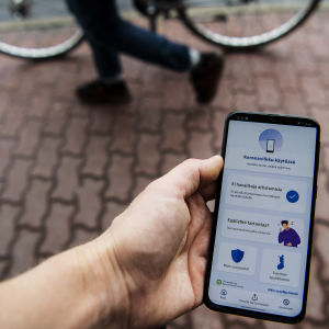 Kuvassa on puhelin, jonka ruudulla on Koronavilkku-sovellus elokuussa 2020.