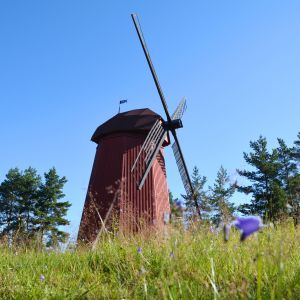 Den röda kvarnen som står på Kvarnåsen i Lovisa.