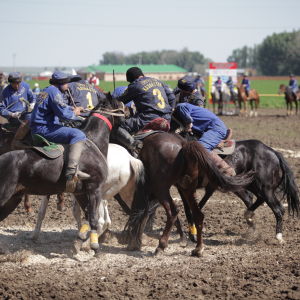 Buzkashi tai Kokpar on villi hevospoolo, jota pelataan vuohen ruholla Kazakstanissa.