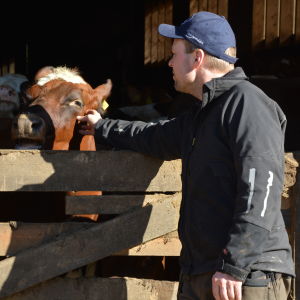 Bjarne Mara står framför en öppning till sin ladugård, bakom staketet står flera kor.