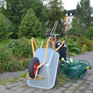 kolonilotterna i östanåparken i nickby 14.07.16