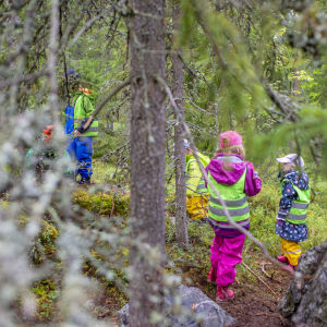 lapset leikkii metsässä ulkotarha