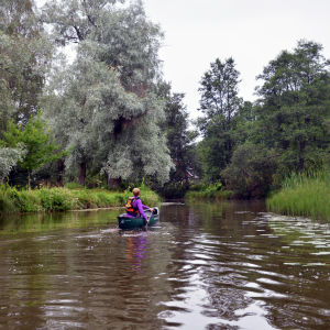En person paddlar i en kanot på en å.