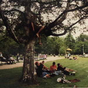Koivu vihreällä nurmikolla. Ihmisiä istuu puun alla, Frank Martela istuu puun oksalla.
