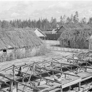 Svartvit bild på koncentrationsläger i Karelen.